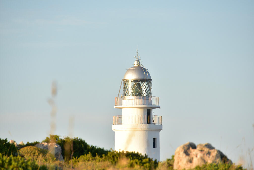 Faro Cavalleria